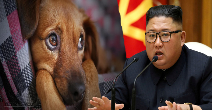 Corea del Norte ordena detener perros compañía Julio 2020