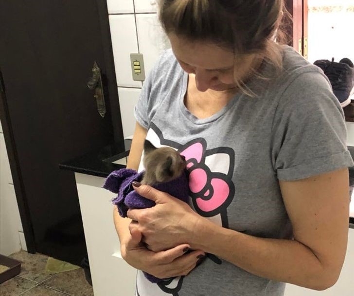 mascotas conquistaron el corazón