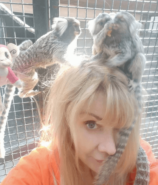Mujer rescató a dos monos Tití