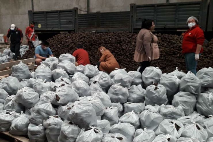 10 millones de kilos de papas se rescataron