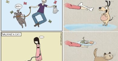 caricaturas-de-fotos