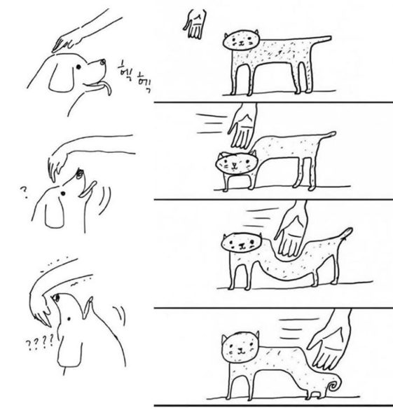 caricaturas-de-fotos-perros-gatos (1)