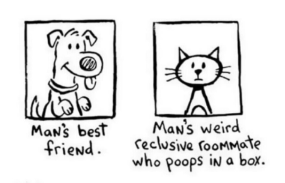 caricaturas-de-fotos-perros-gatos (10)