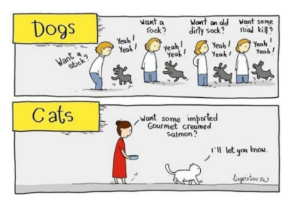 caricaturas-de-fotos-perros-gatos (11)