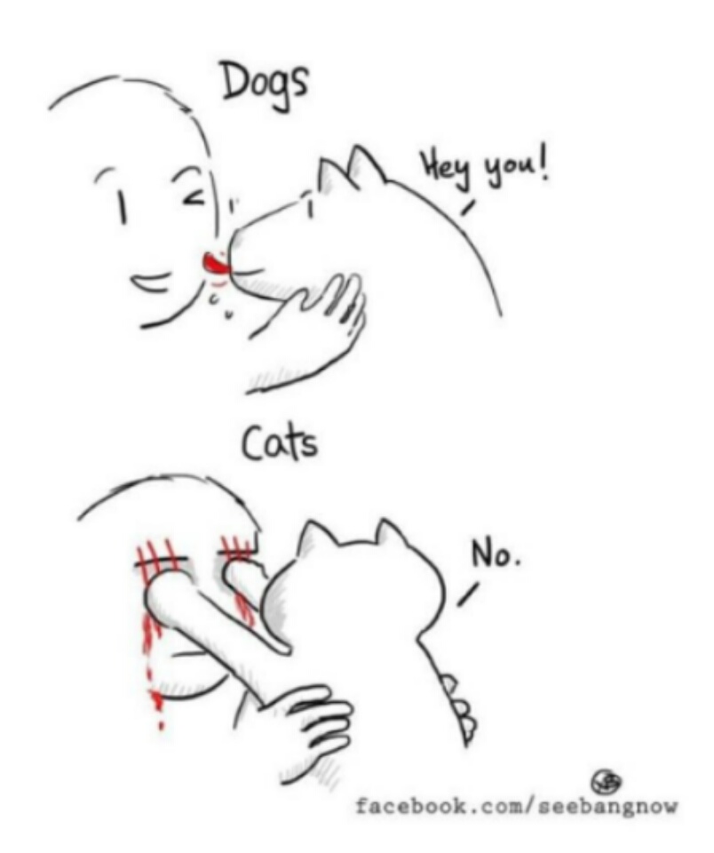 caricaturas-de-fotos-perros-gatos (13)