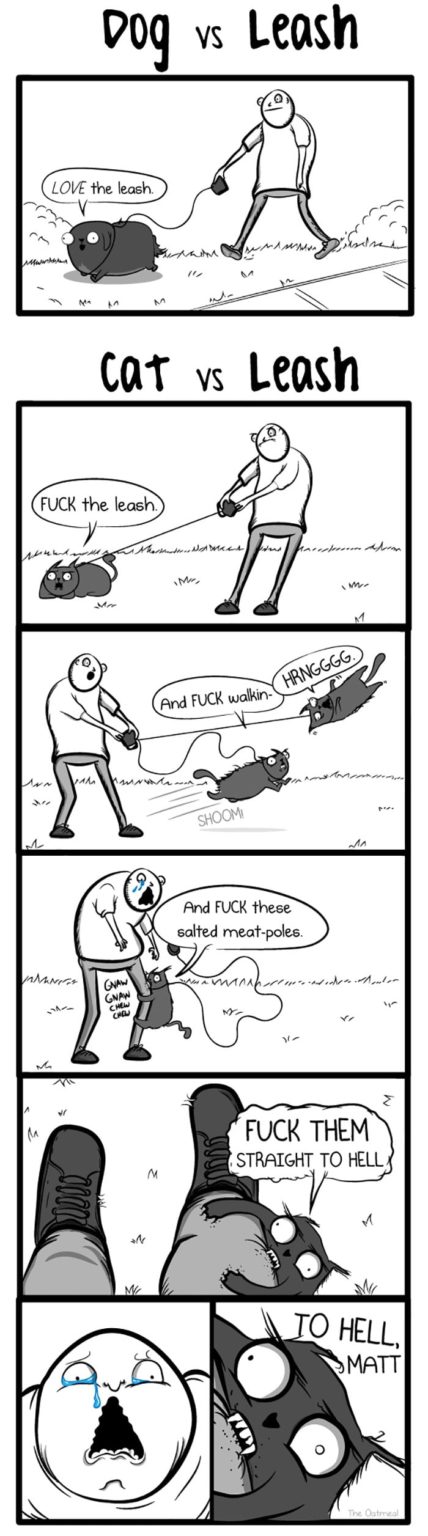 caricaturas-de-fotos-perros-gatos (16)