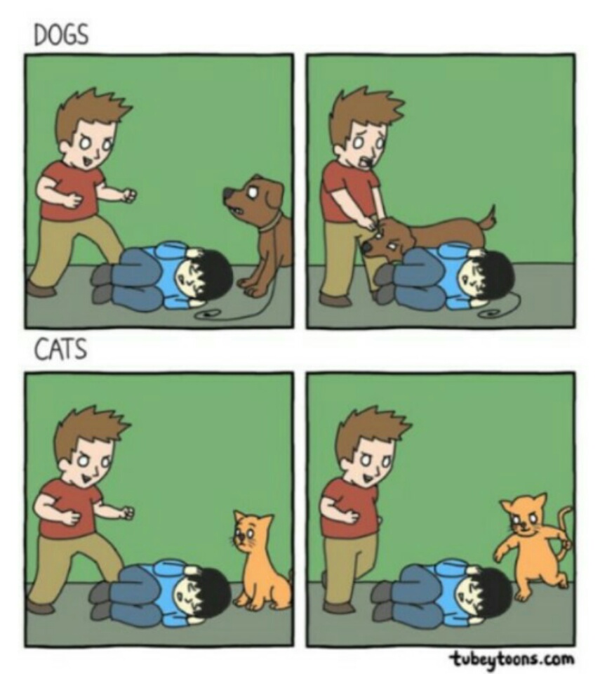 caricaturas-de-fotos-perros-gatos (17)