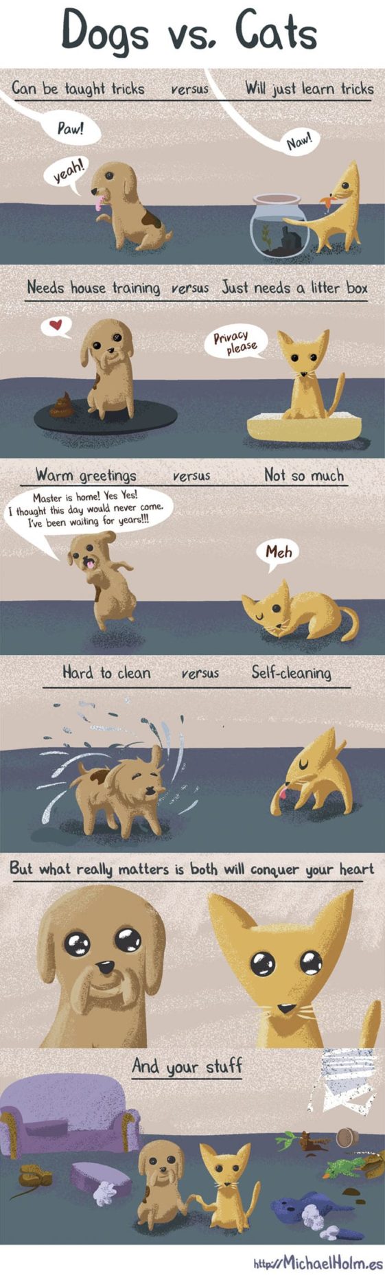 caricaturas-de-fotos-perros-gatos (19)
