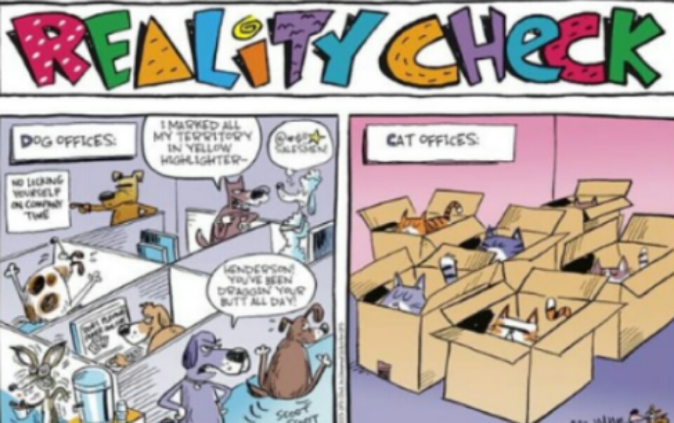 caricaturas-de-fotos-perros-gatos (21)