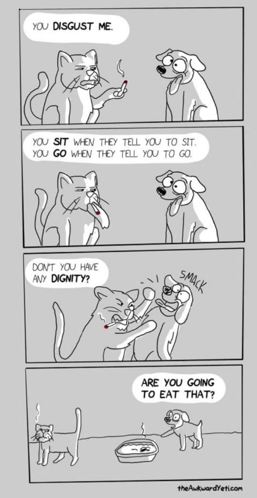 caricaturas-de-fotos-perros-gatos (23)