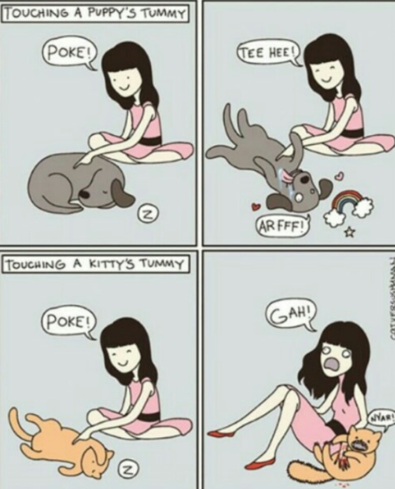 caricaturas-de-fotos-perros-gatos (25)
