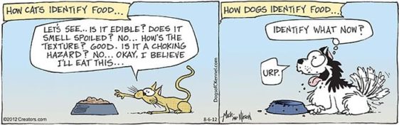 caricaturas-de-fotos-perros-gatos (30)