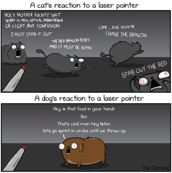 caricaturas-de-fotos-perros-gatos (31)