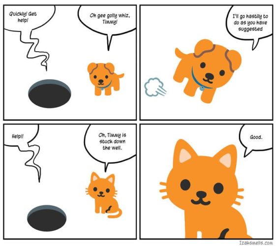 caricaturas-de-fotos-perros-gatos (33)