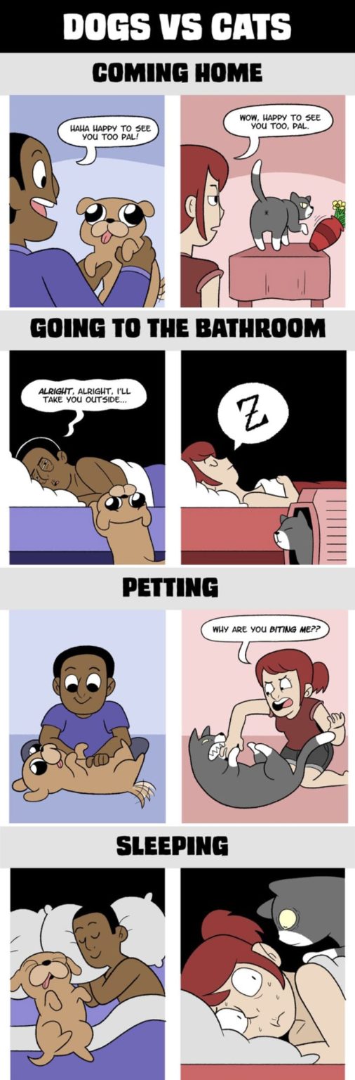 caricaturas-de-fotos-perros-gatos (35)