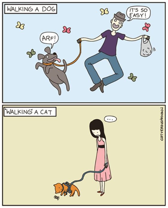 caricaturas-de-fotos-perros-gatos (38)