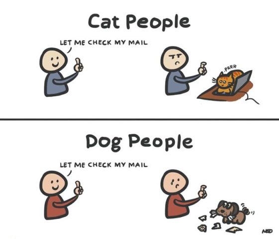 caricaturas-de-fotos-perros-gatos (41)