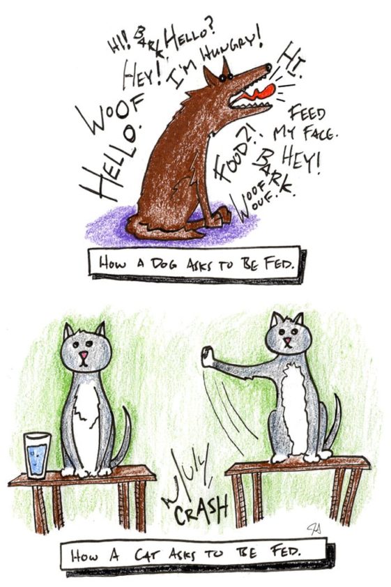 caricaturas-de-fotos-perros-gatos (43)