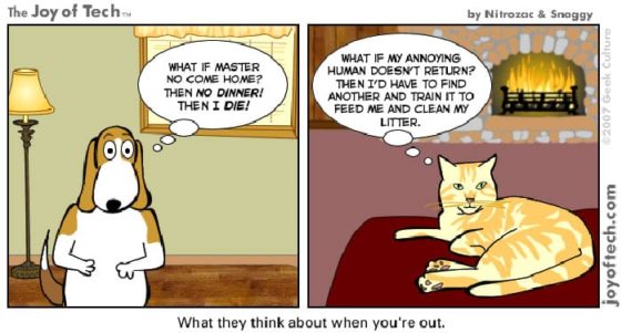 caricaturas-de-fotos-perros-gatos (48)