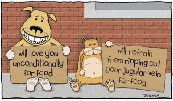 caricaturas-de-fotos-perros-gatos (49)