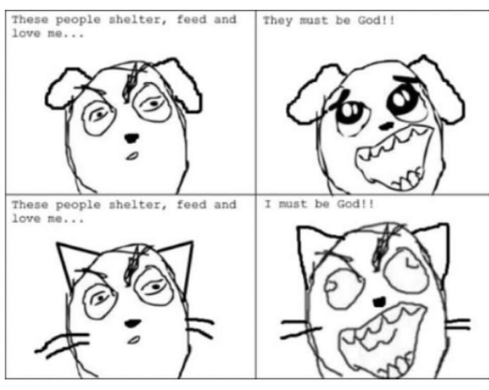 caricaturas-de-fotos-perros-gatos (5)