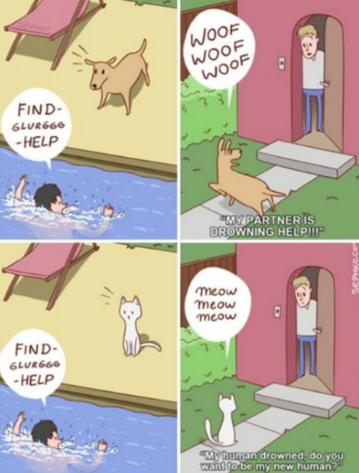 caricaturas-de-fotos-perros-gatos (6)