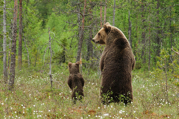 madre-y-su-hijo (12)