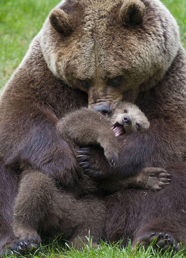 madre-y-su-hijo (3)