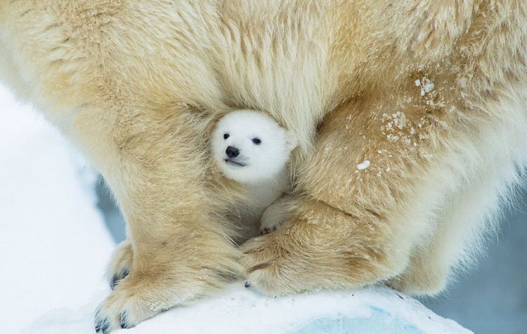 madre-y-su-hijo (9)