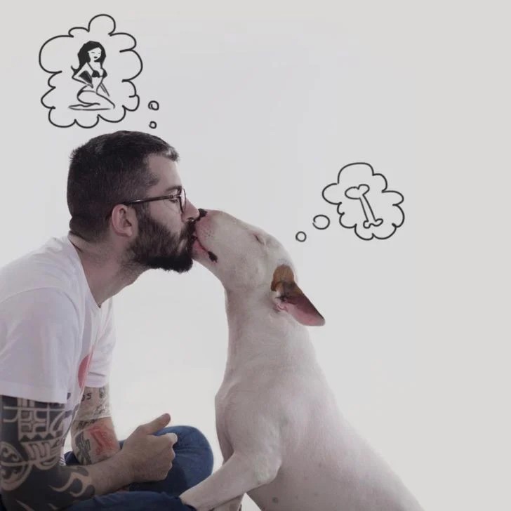perro-fiel (2)
