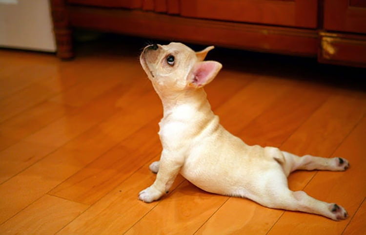 posturas-de-yoga (6)