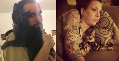 personas que no querían gatos