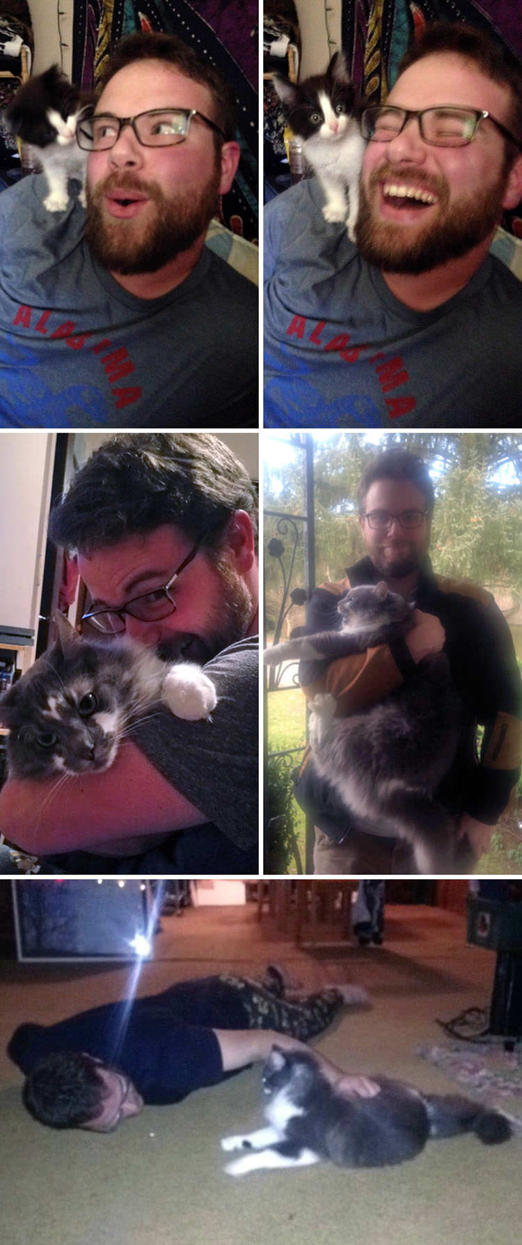 personas que no querían gatos