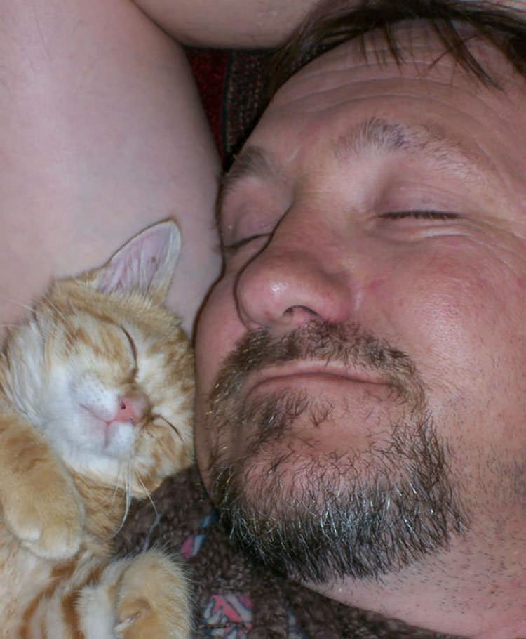 personas que no querían gatos
