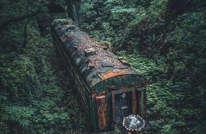 Cuando la naturaleza reclama su Hogar, China