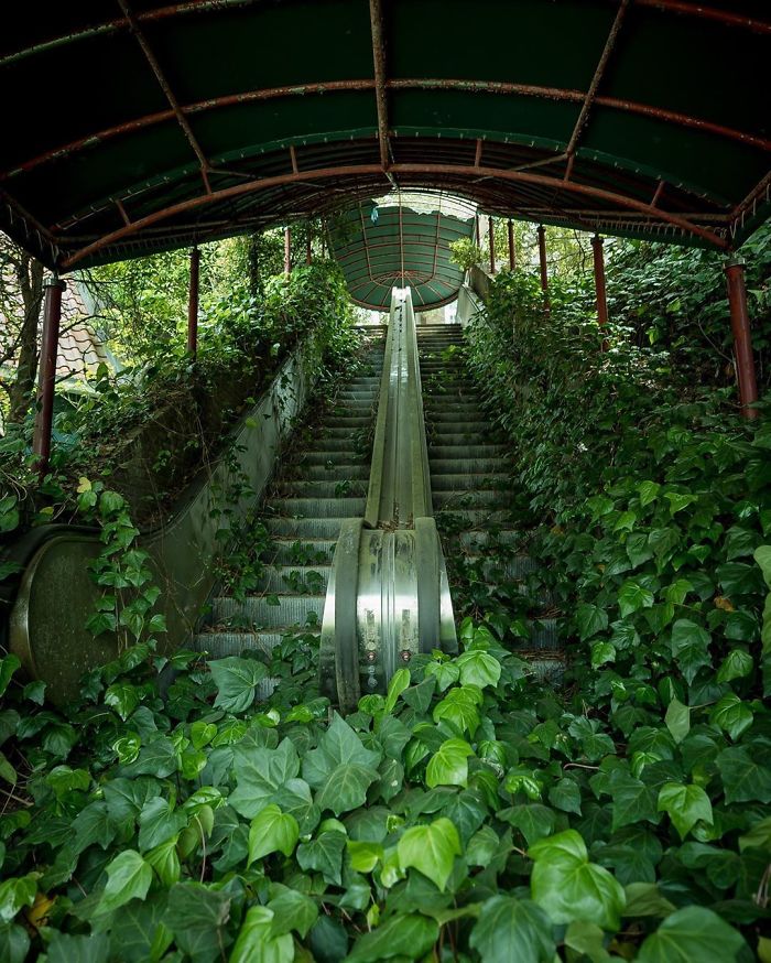 Escalera mecánica abandonada en la naturaleza