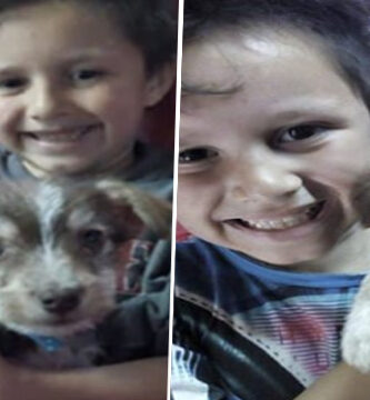 Niño rescato a este perrito y se ocupo de todos los gastos del veterinario