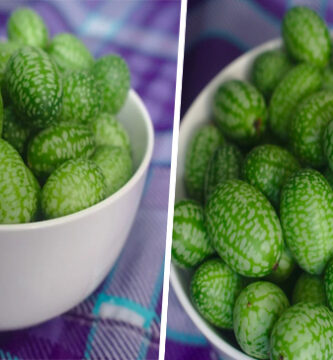 Cucamelon, la mini sandia con sabor a pepino