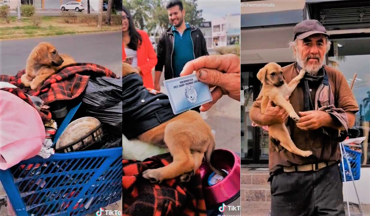 Adulto mayor pide ayuda a veterinarios para su perrita, entérate de la ...