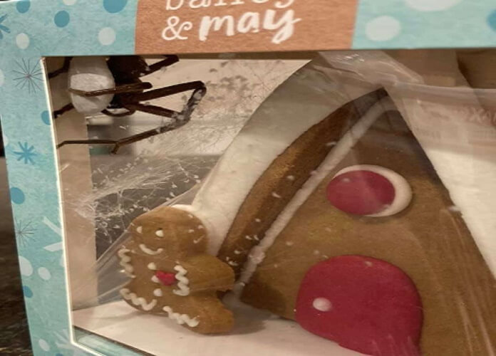 enorme araña