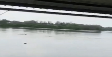 cocodrilo devoró a un hombre
