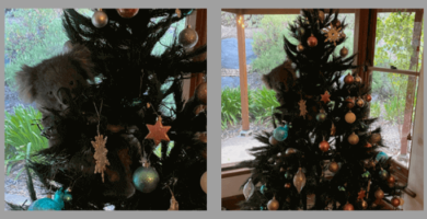regalo anticipado de navidad