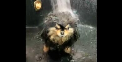 la-hora-del-baño