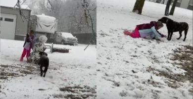 muñeco-de-nieve