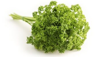 propiedades del cilantro