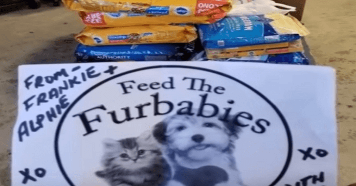 alimentar a un perro hambriento