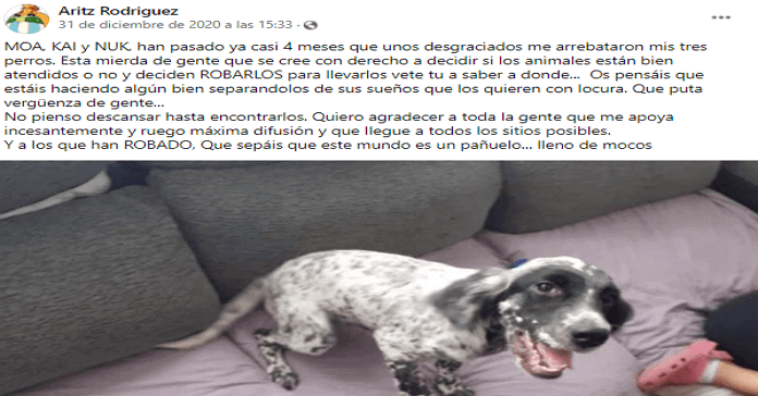 robo de perros