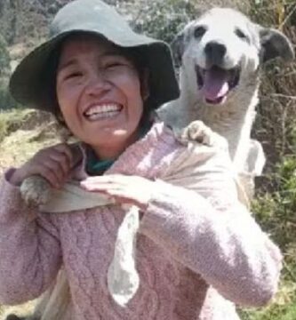 perrito anciano