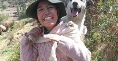 perrito anciano