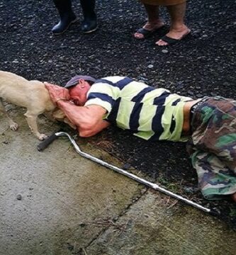 Valiente perrita y hombre en el suelo